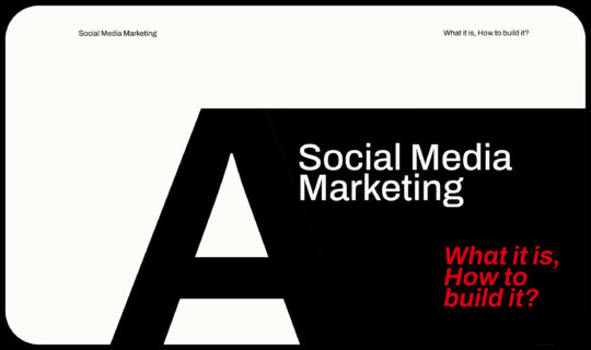 Social Media Marketing: What it is, How to build it