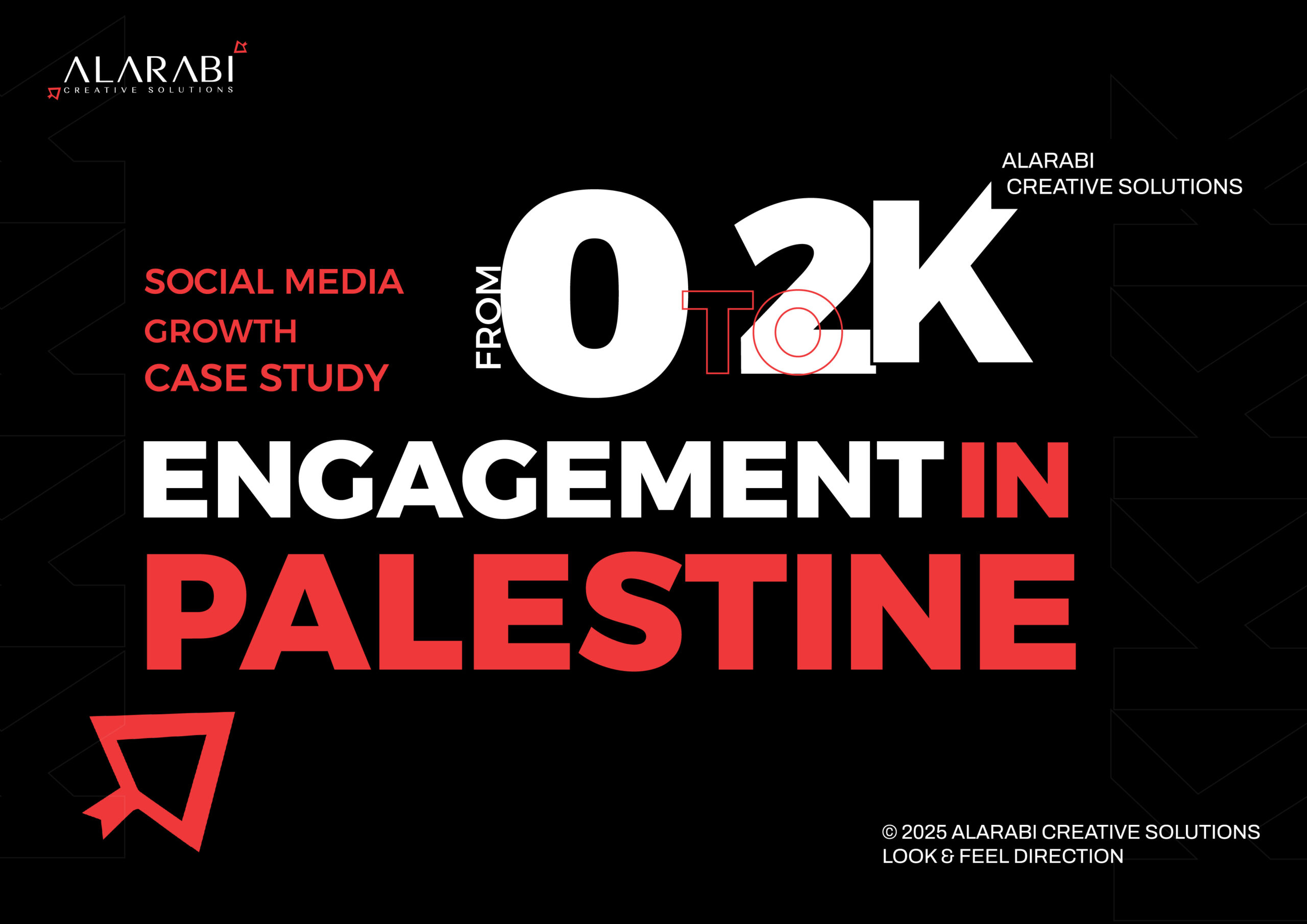 Social Media Growth Case Study: From 0 to 2K Engagement in Palestine